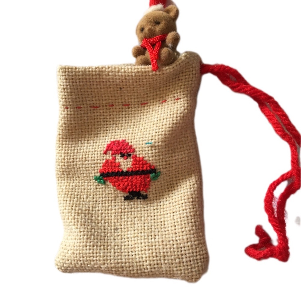 Festive Bird Toy with Santa Design